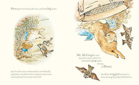 Peter Rabbit: Book and Toy Gift Set: The perfect present for babies and toddlers - Retail Maharaj