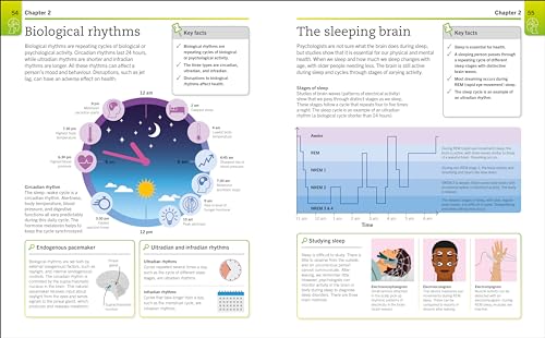 Super Simple Psychology: The Ultimate Bitesize Study Guide - Retail Maharaj