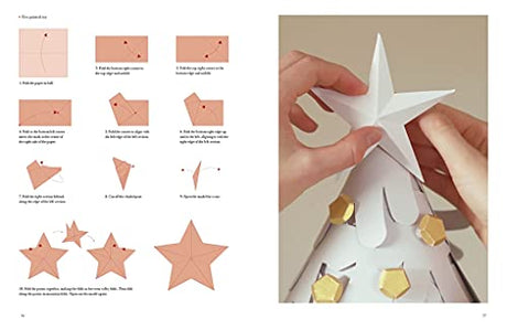 LIVING PAPER: From Materials to Processes: A Step-By-Step Guide to the Creation of Over 70 Ingenious Paper Artworks - Cutting, Folding, Tearing, Quilling, Weaving, Collage, Sculpture - Retail Maharaj