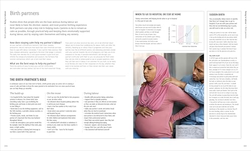 The Pregnancy Encyclopedia: All Your Questions Answered - Retail Maharaj