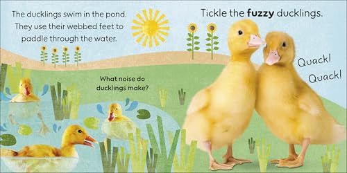 Touch and Feel Farm: With Tactiles for Toddlers to Explore - Retail Maharaj