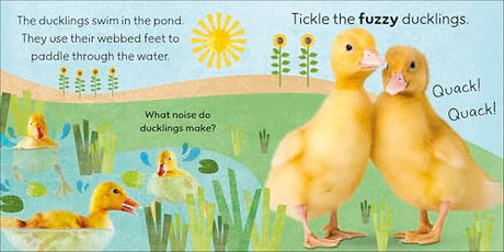 Touch and Feel Farm: With Tactiles for Toddlers to Explore - Retail Maharaj
