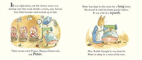 Peter Rabbit Snuggle Set - Retail Maharaj