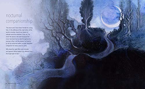 A Magical Night Journey - Retail Maharaj
