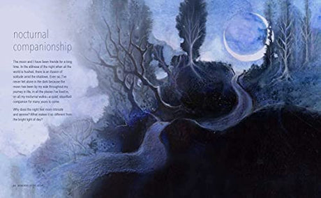 A Magical Night Journey - Retail Maharaj