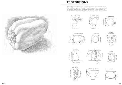 Drawing Nature: A Complete Guide (Art of Drawing) - Retail Maharaj