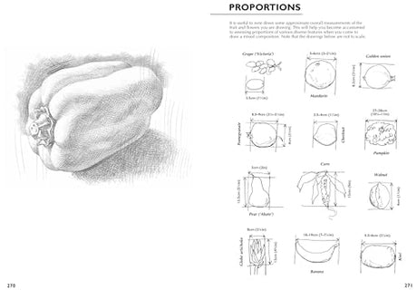 Drawing Nature: A Complete Guide (Art of Drawing) - Retail Maharaj