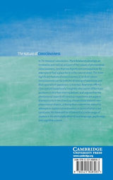 The Nature of Consciousness - Retail Maharaj