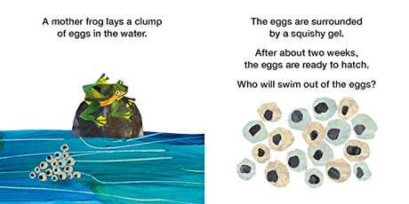 How Does a Tadpole Grow?: Life Cycles with The Very Hungry Caterpillar - Retail Maharaj