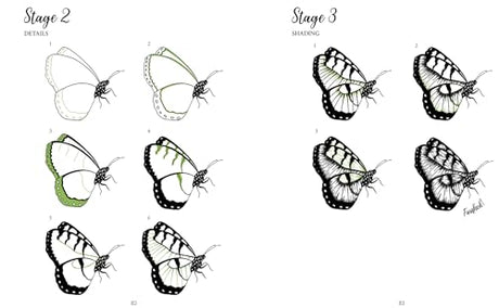 The Kew Book of Drawing Flora & Fauna: 20 Stunning Step-by-Step Tutorials - Retail Maharaj