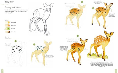 Paint 50: Watercolour Animals: From basic shapes to amazing paintings in super-easy steps - Retail Maharaj