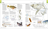 The Visual Encyclopedia - Retail Maharaj