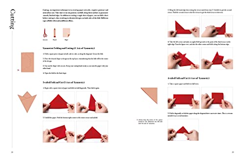 LIVING PAPER: From Materials to Processes: A Step-By-Step Guide to the Creation of Over 70 Ingenious Paper Artworks - Cutting, Folding, Tearing, Quilling, Weaving, Collage, Sculpture - Retail Maharaj