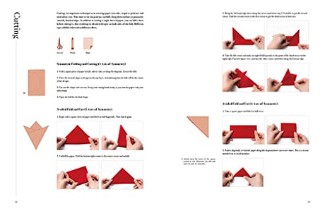 LIVING PAPER: From Materials to Processes: A Step-By-Step Guide to the Creation of Over 70 Ingenious Paper Artworks - Cutting, Folding, Tearing, Quilling, Weaving, Collage, Sculpture - Retail Maharaj