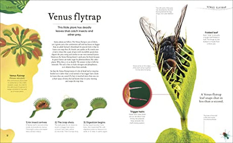 The Secret World of Plants: Tales of More Than 100 Remarkable Flowers, Trees, and Seeds - Retail Maharaj