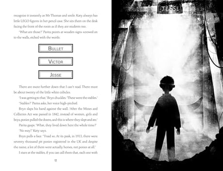 The Shadow Pony: A phenomenally moving middle-grade animal story that children will fall in love with - Retail Maharaj