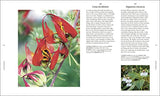 RHS A Plant for Every Day of the Year - Retail Maharaj