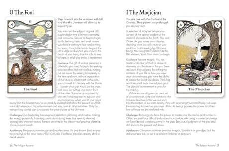 Elemental Power Tarot: Includes a full deck of 78 cards and a 64-page illustrated book - Retail Maharaj