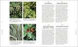 RHS A Plant for Every Day of the Year - Retail Maharaj