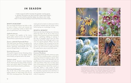 The Money-Saving Garden Year: A Month-by-month Guide to a Great Garden that Costs Less - Retail Maharaj