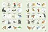 Draw 100: Animals - Retail Maharaj