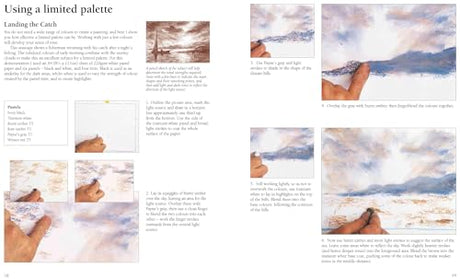Pastel Painting Step-By-Step - Retail Maharaj