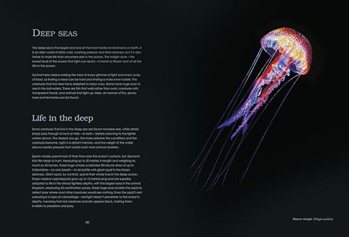 Water World: A stunning deep dive into our great oceans and the wonders beneath the waves - Retail Maharaj