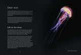 Water World: A stunning deep dive into our great oceans and the wonders beneath the waves - Retail Maharaj