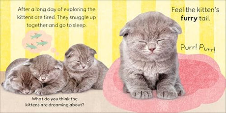 Touch and Feel Baby Animals: With Tactiles for Toddlers to Explore - Retail Maharaj