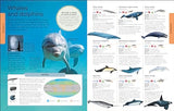 Animals: A Children's Encyclopedia - Retail Maharaj