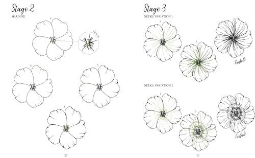 The Kew Book of Drawing Flora & Fauna: 20 Stunning Step-by-Step Tutorials - Retail Maharaj