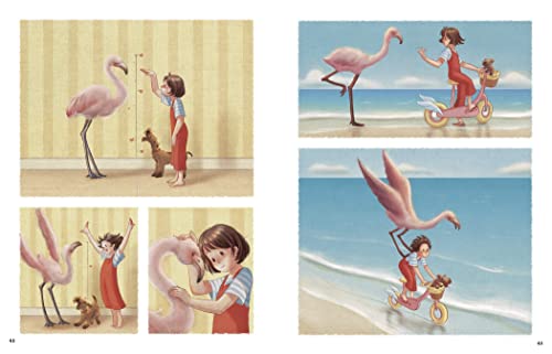 The Flamingo: A Graphic Novel Chapter Book - Retail Maharaj