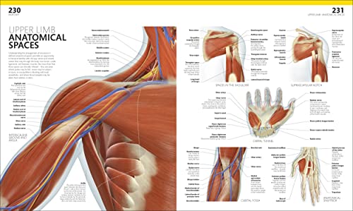 The Complete Human Body: The Definitive Visual Guide - Retail Maharaj