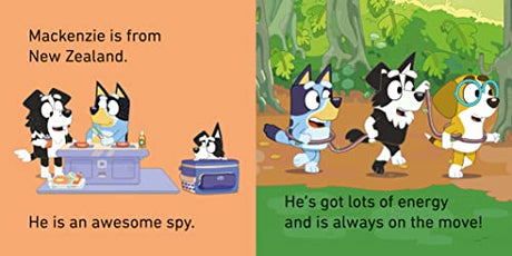 Bluey: Bluey and Friends Little Library - Retail Maharaj