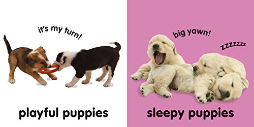 Baby Touch and Feel: Puppies - Retail Maharaj