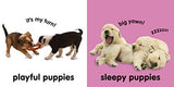 Baby Touch and Feel: Puppies - Retail Maharaj