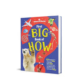 First Big Book Of How - Retail Maharaj