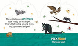 The Very Hungry Caterpillar's Peekaboo Halloween: A pumpkin-shaped board book - Retail Maharaj