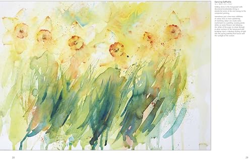 Colour & Light in Watercolour - Retail Maharaj