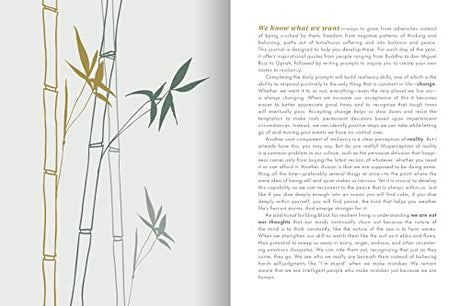 The Resilience Journal: 365 Days to Balance and Peace of Mind - Retail Maharaj