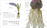 The Science of Plants: Inside their Secret World - Retail Maharaj