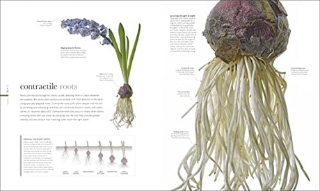 The Science of Plants: Inside their Secret World - Retail Maharaj