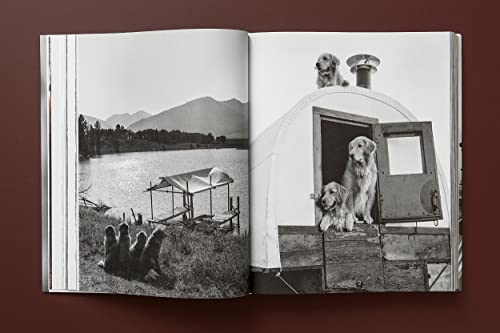 The Golden Retriever Photographic Society - Retail Maharaj