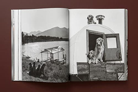 The Golden Retriever Photographic Society - Retail Maharaj