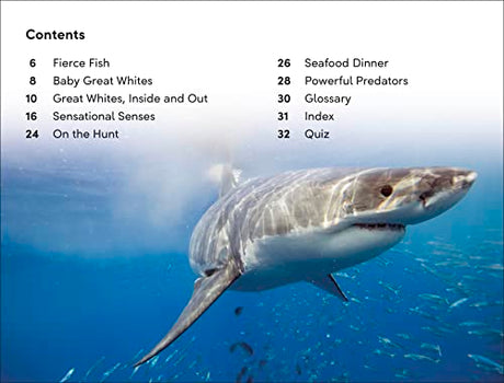 DK Super Readers Level 2 Great White Sharks - Retail Maharaj