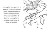 Bug Book for Kids: Coloring Fun and Awesome Facts - Retail Maharaj