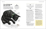 What's My Cat Thinking?: Understand Your Cat to Give Them a Happy Life - Retail Maharaj