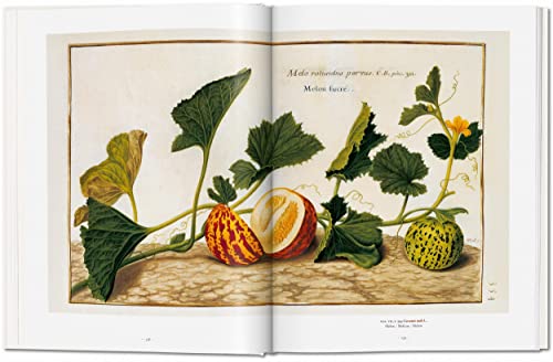 Garden Eden. Masterpieces of Botanical Illustration: Ile de France, Haute-Normandie, Picardie - Retail Maharaj