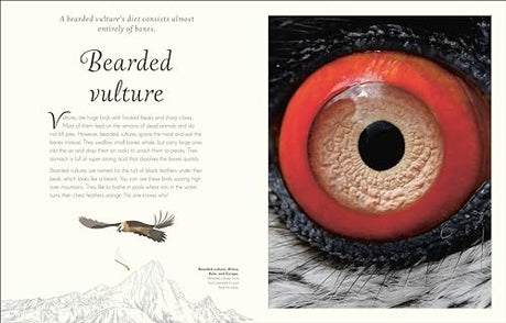 An Anthology of Exquisite Birds - Retail Maharaj