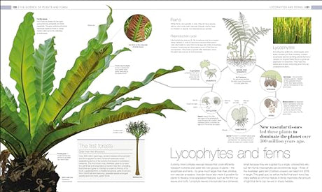Plants and Fungi: The Definitive Visual Guide - Retail Maharaj